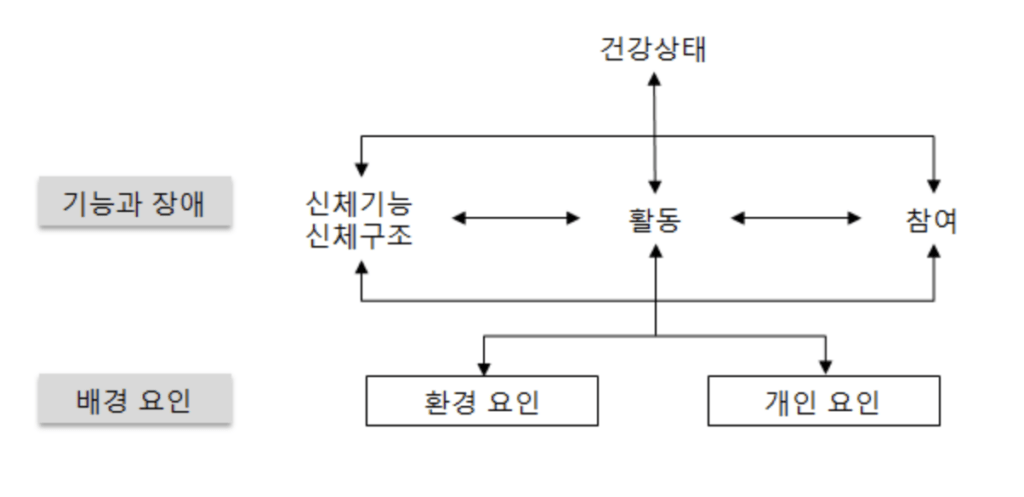 장애 개념 분류 및 국제기능장애건강분류체계 ICIDH, ICIDH-2, ICF