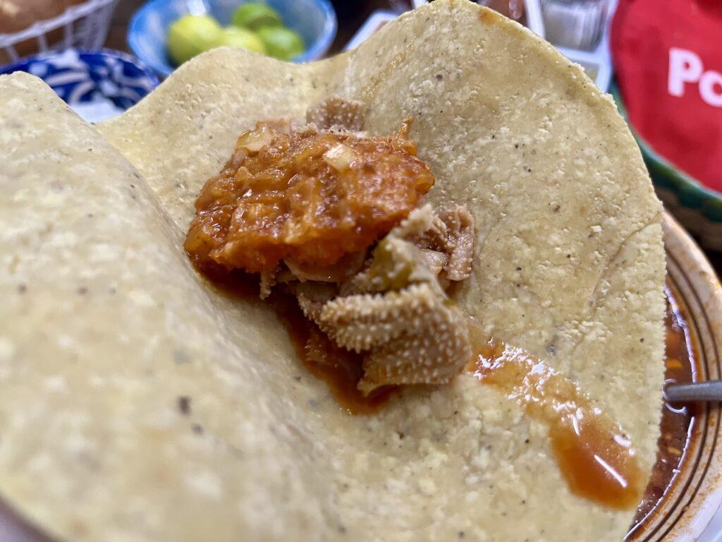 멕시코 해장국 판시따(메누도) 제일 맛있는 멕시코시티 로컬 맛집! 관련 사진 및 안내