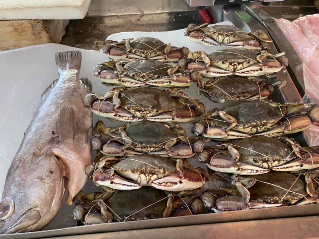 멕시코 해산물