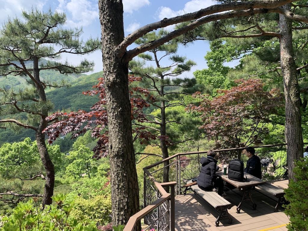 수목원 화담숲