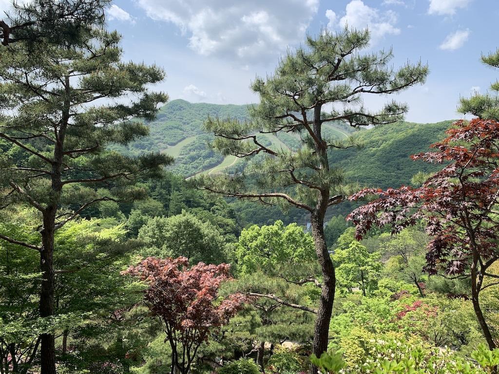 수목원 화담숲