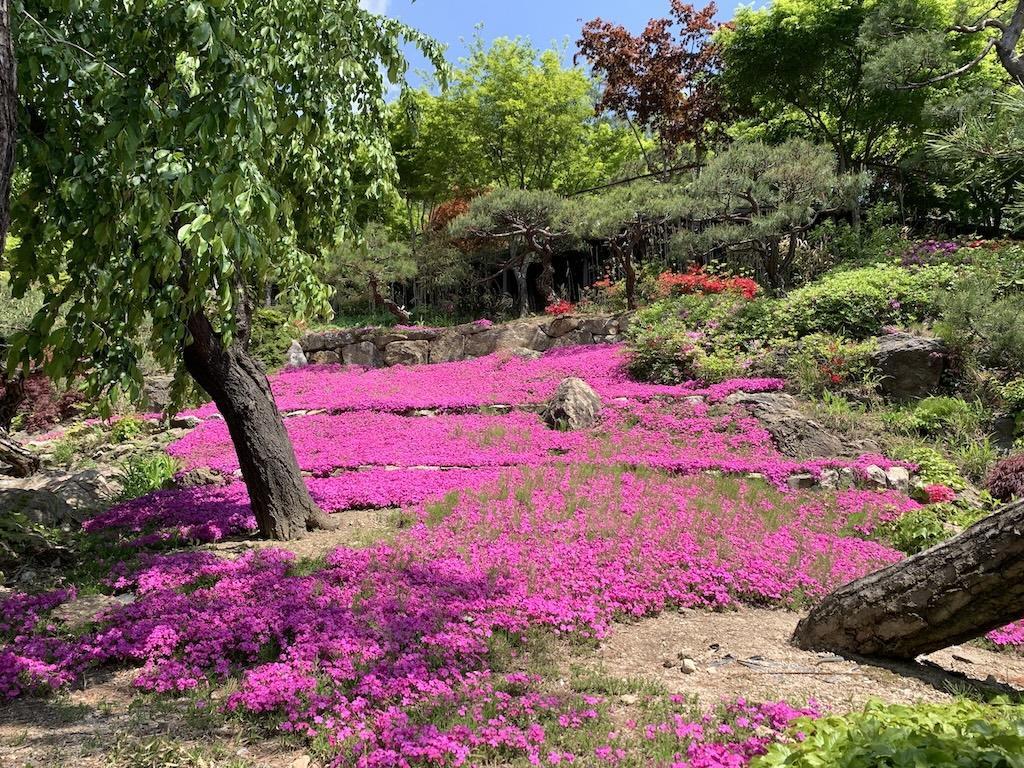 화담숲