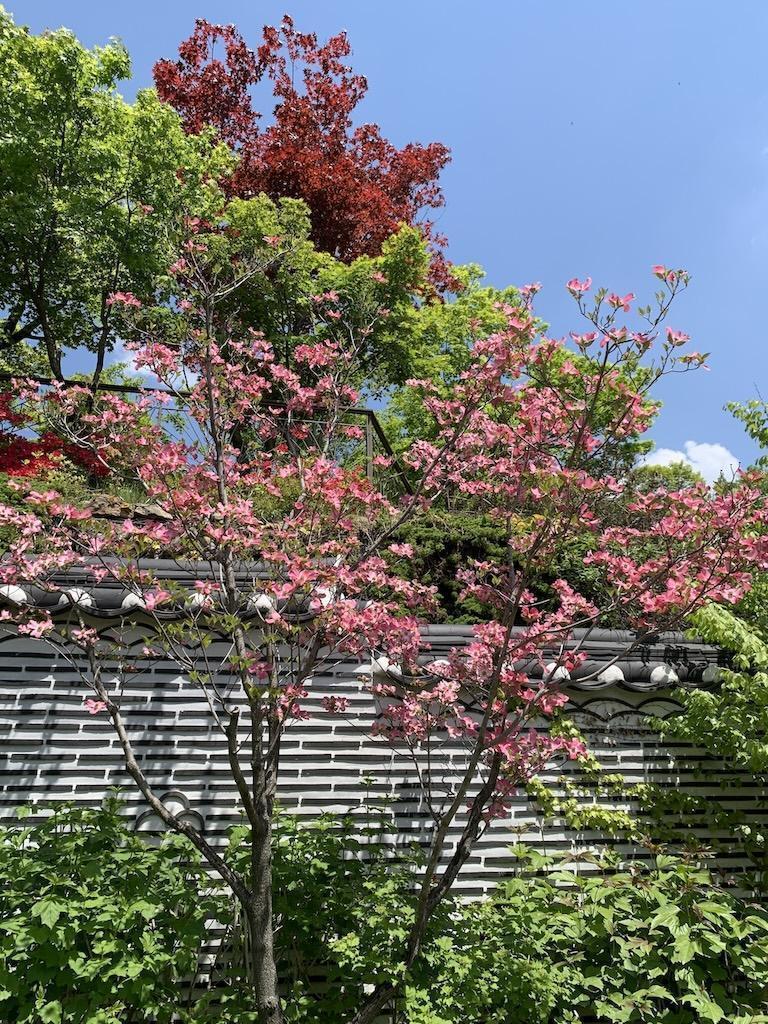 화담숲