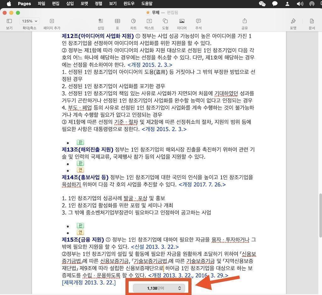 맥북 Pages ‘단어 수, 글자 수 보기’ 공백 포함, 공백 미포함 관련 사진 및 안내