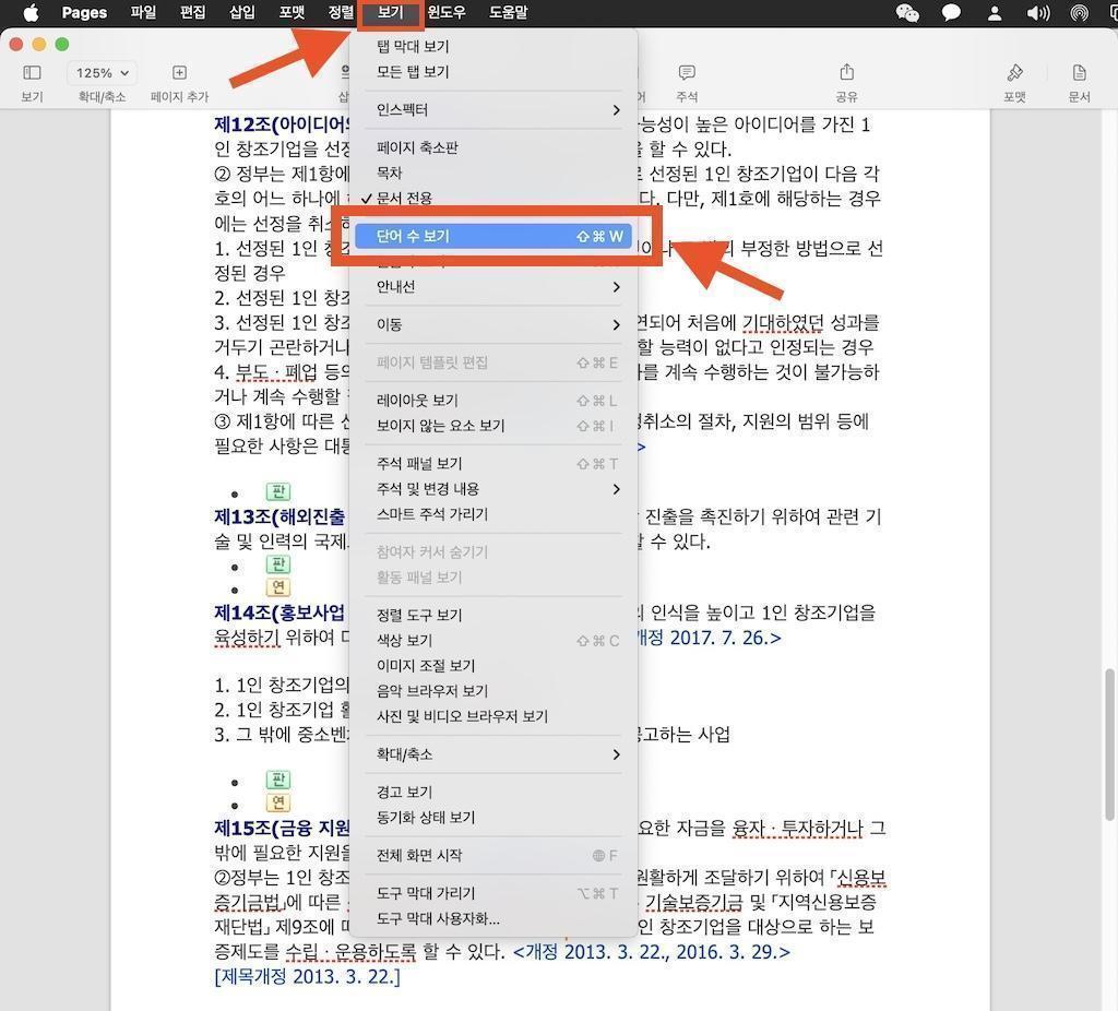 맥북 Pages ‘단어 수, 글자 수 보기’ 공백 포함, 공백 미포함
