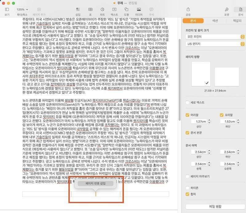 페이지스 페이지 번호 삽입