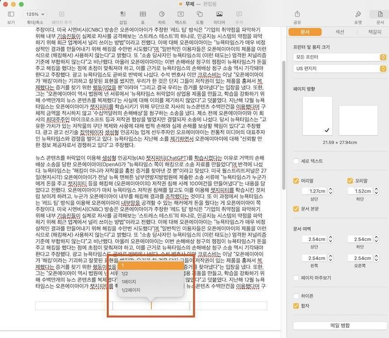 페이지스 페이지 번호 삽입