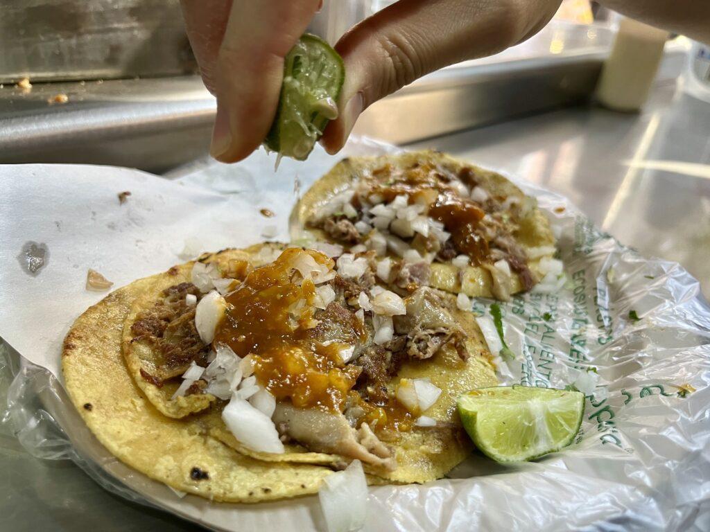 멕시코시티 넷플릭스 타코연대기 추천 타코 맛집 ‘EL TORITO’ 관련 사진 및 안내