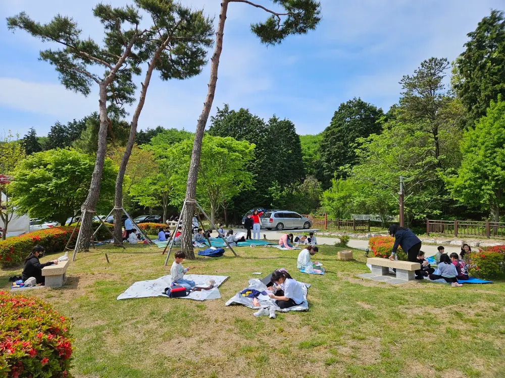 초록빛 차밭에서 시작하는 봄, 보성 다향제 완벽 가이드 관련 사진 및 안내