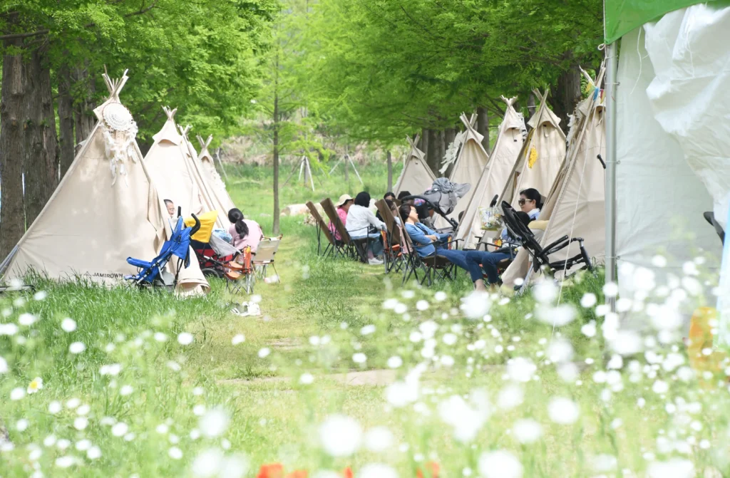 함평 나비 축제 2025 — 나비 수만 마리가 만드는 봄 풍경