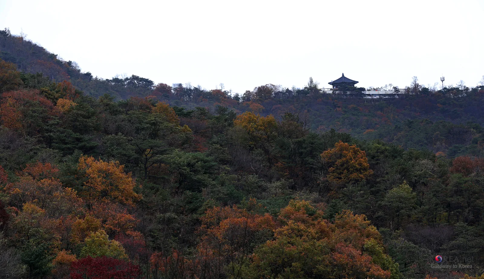수도권 산책로를 감싸고 있는 붉고 노란 가을 단풍 터널
