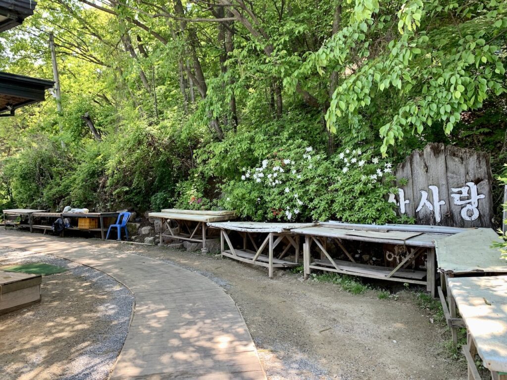 용인 수지 맛집 산사랑