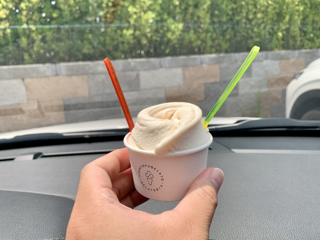 강원도 순두부젤라또