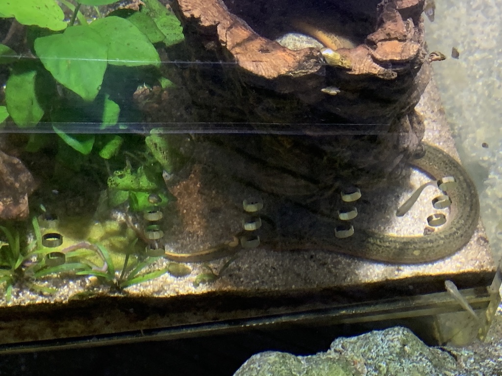 수목원 화담숲 생태관