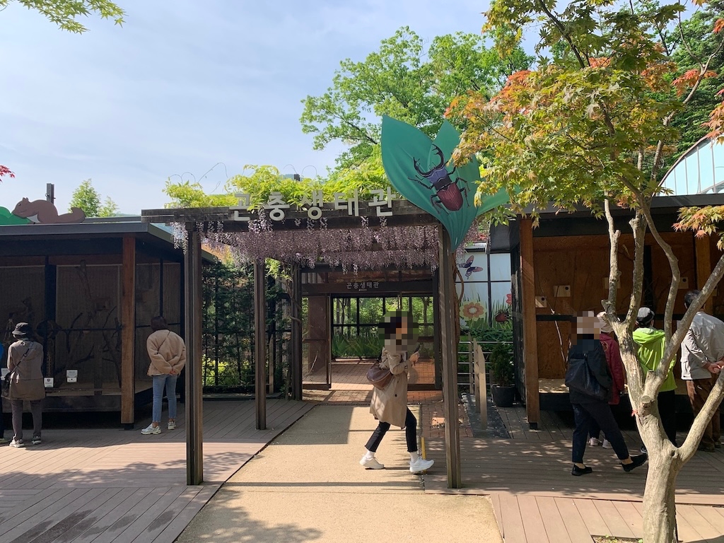 수목원 화담숲 곤충 생태관