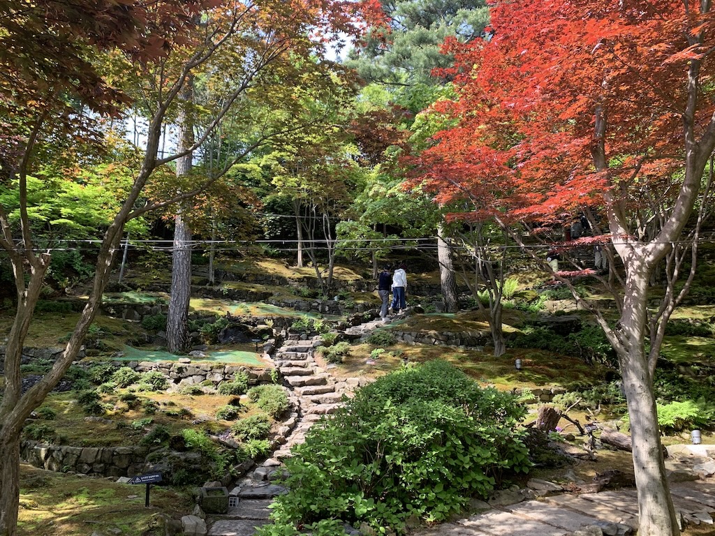 수목원 화담숲 단풍