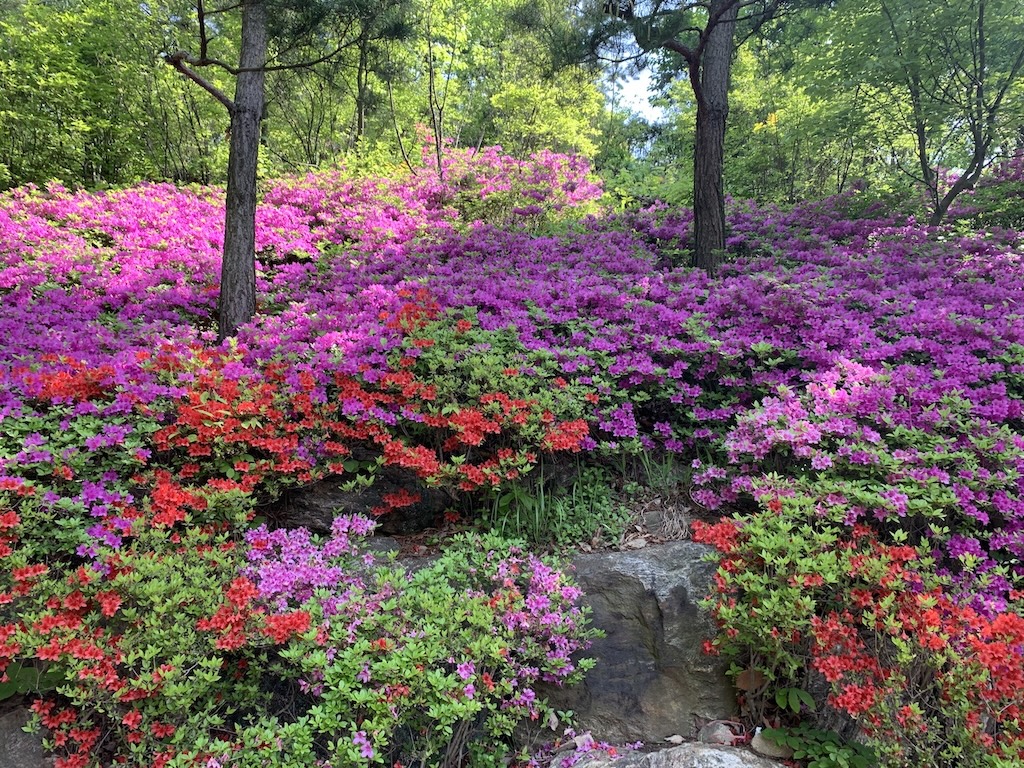 생태수목원 화담숲