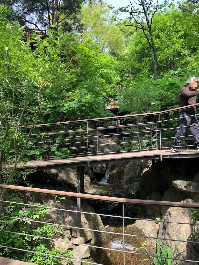 생태 수목원 화담숲