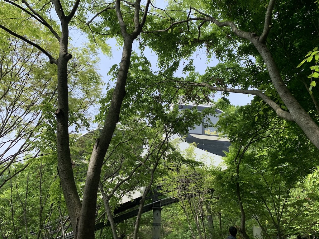 생태수목원 화담숲